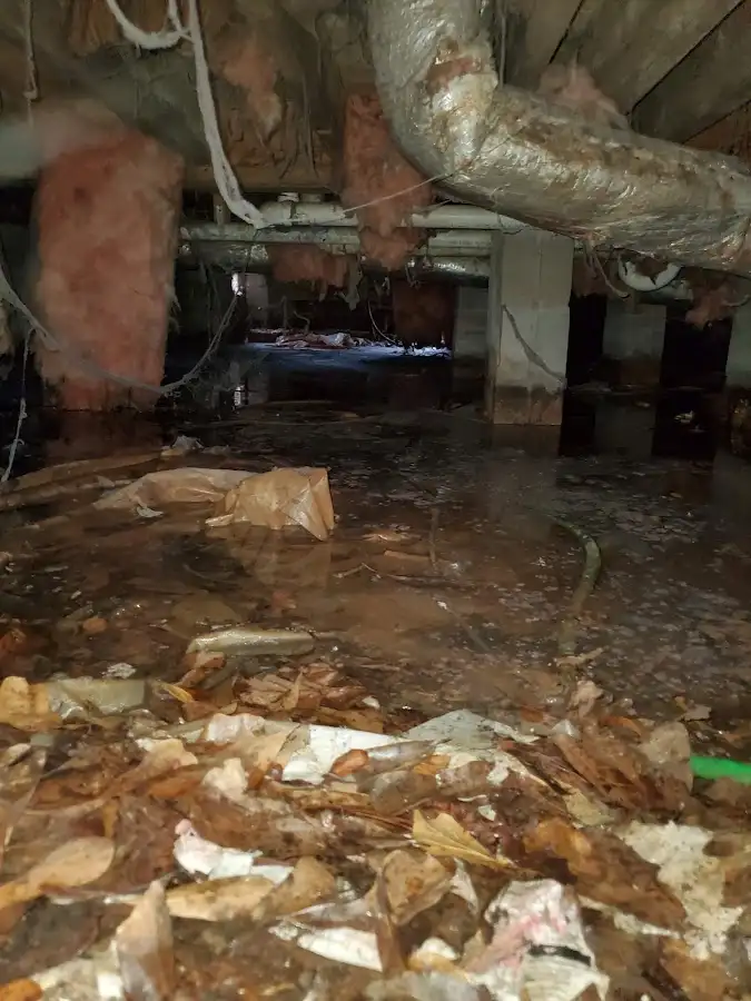Crawl space flood assessment for Leak Detection & Repair in Wright City