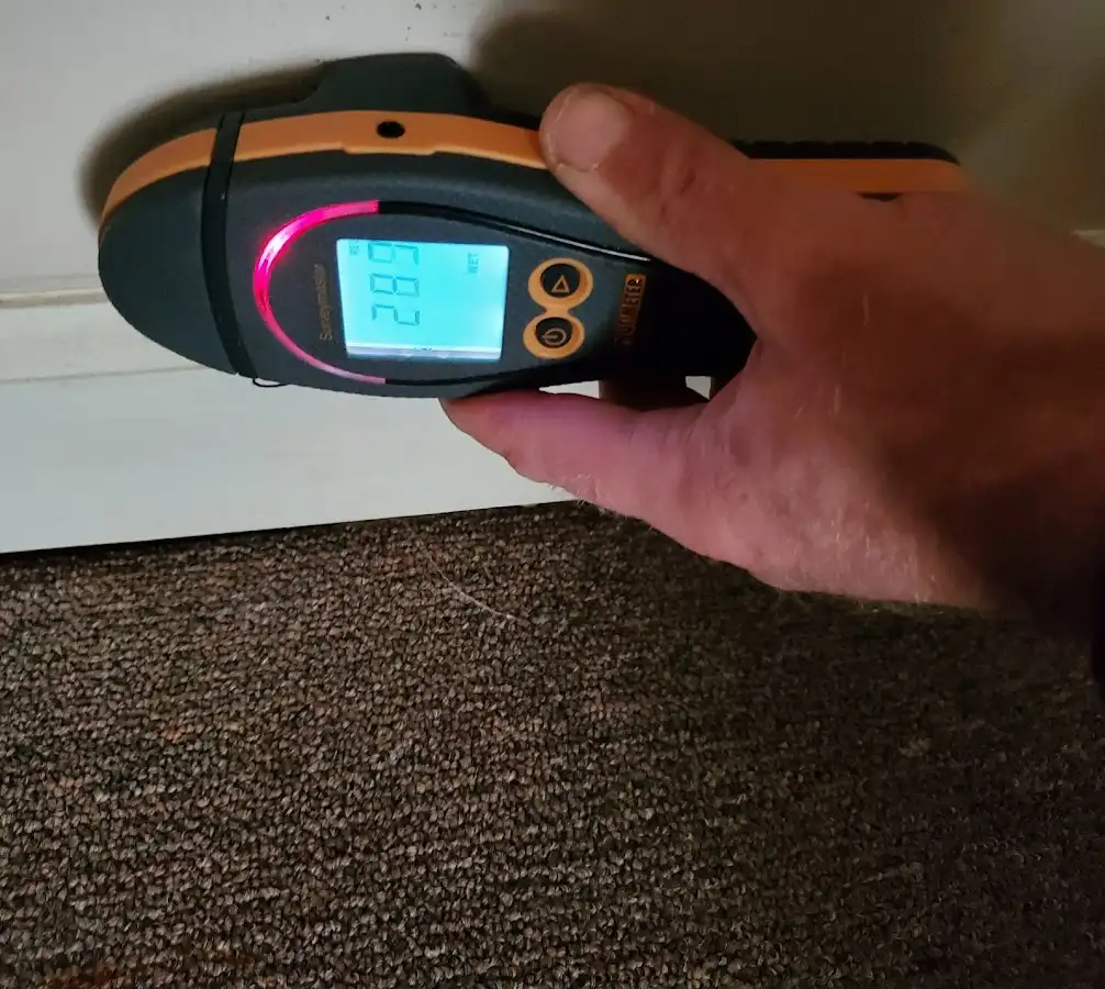 Moisture detection at baseboard during Mold Inspection & Testing in Wright City